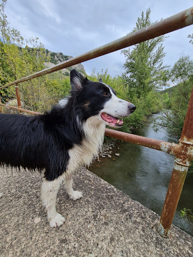 Zona de esparcimiento canino "La Ribera"