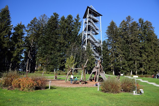 Skywalk Allgäu Naturerlebnispark