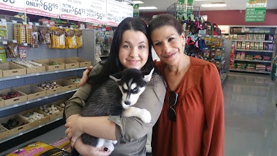 Photos of Petland Bradenton
