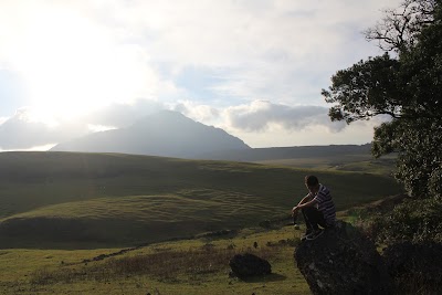 Photos of Fulan Fehan