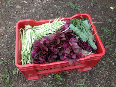 Af1qipn2lqrrh Dik7we5henol5mgn5sjcrdls58fqug=s387 K No