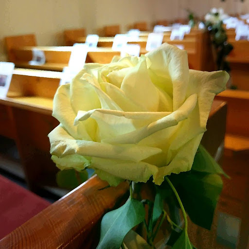Stiftung Friedenskirche Maschen - Thumbnail
