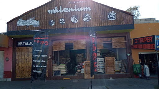 Gonzavila - Nutrimentos Milenium Tlaxco
