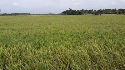 Photos of Genuine Sri Lankans Tours