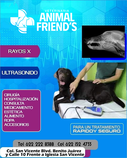 Veterinaria Animal Friends