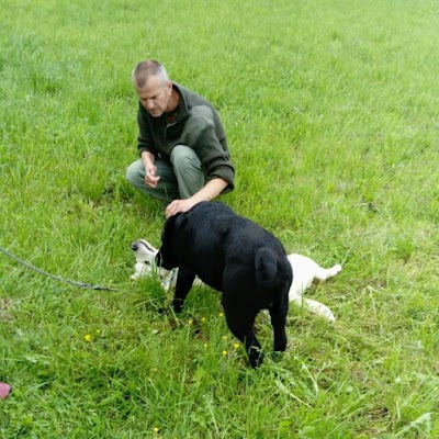 Photos of Veterinary clinic Noah