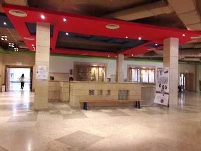 Photos of Hayah Sports Academy اكاديمية الحياه الرياضية