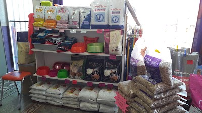 Photos of Veterinaria Curarvet