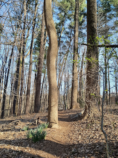 Marie Butler Leven Preserve