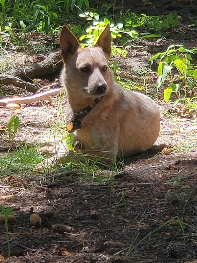 Western Slope Animal Hospital