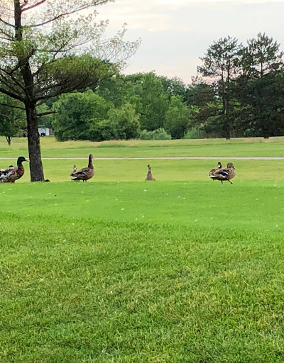 Mack Mayfield Municipal Golf Course