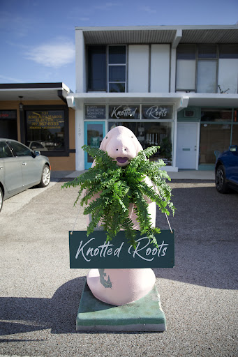 Knotted Roots - Visual