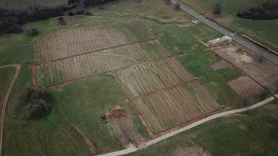 Missouri Berries - Berry Farm