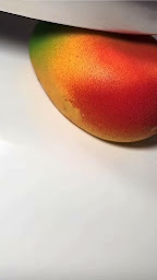 Photo n°41 de Boulangerie-Pâtisserie La Boussinière à Le Mans (Pâtisserie)