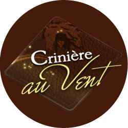 Photo n°11 de Crinière au Vent à Monbalen (Centre équestre)