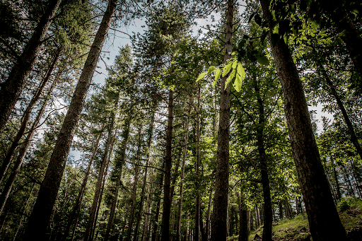 Camping Argegna - Visual