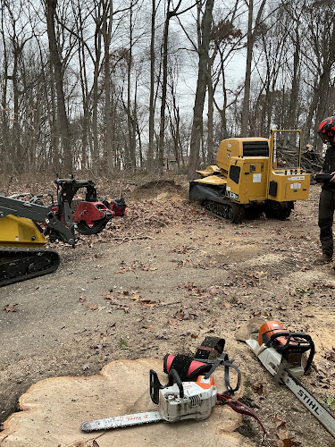 Greater View Tree Service LTD
