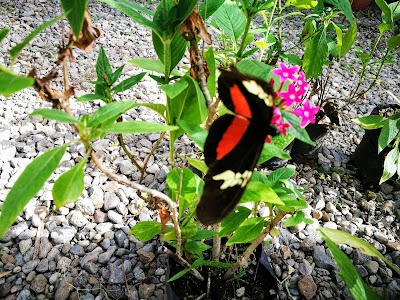 Photos of Reserva Natural Atitl&aacute;n