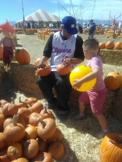 Seasonal Adventures Pumpkin Patch and Christmas Trees