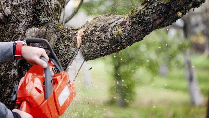 Zigler Elagage 07 - Élagueur Ardèche : Taille Abattage d'Arbres Haies Étêtage Entretien Espaces-Verts Aubenas Privas