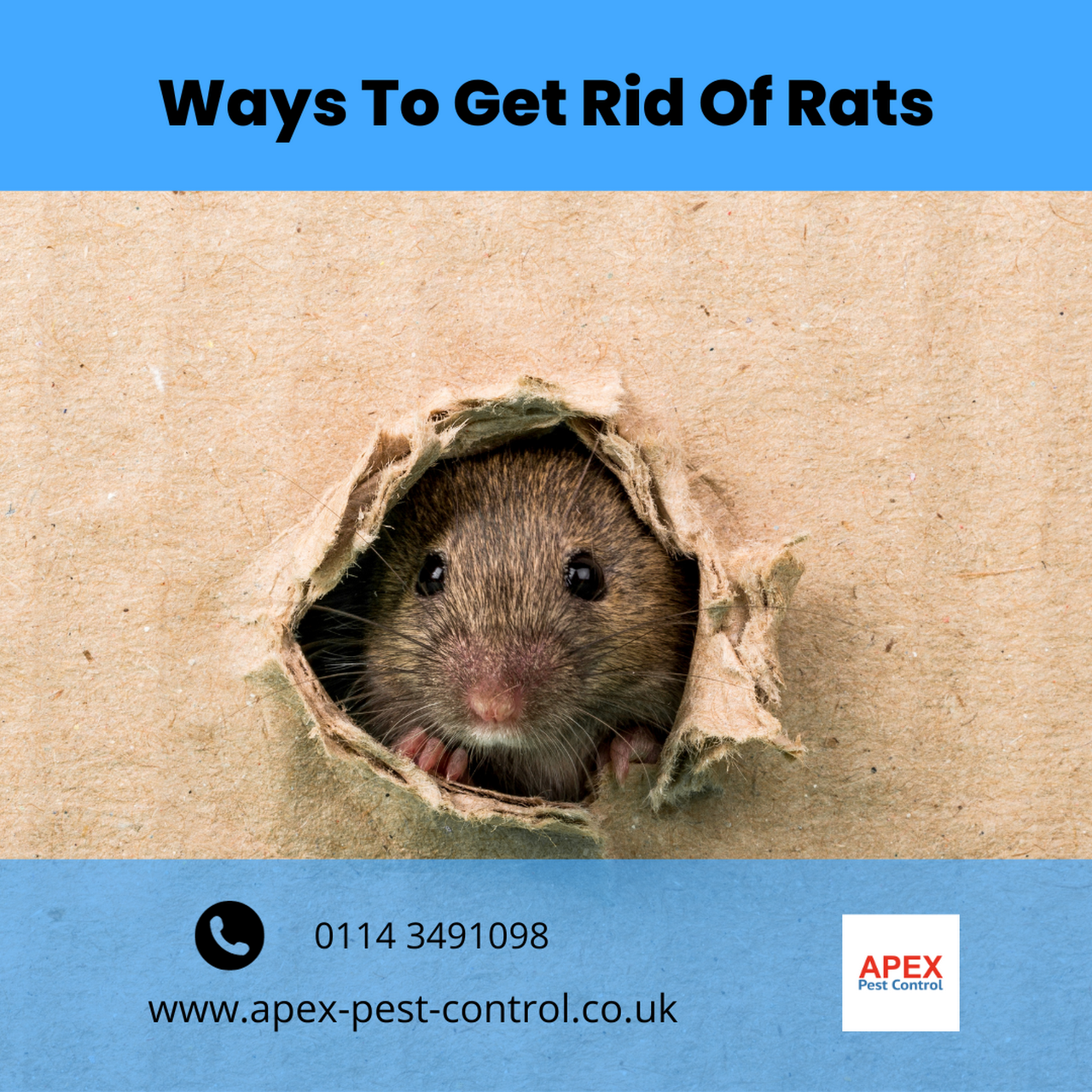 The Best Mouse Trap Ever IsAn Exterminator  Suburban Exterminating -  Pest Control & Extermination Services