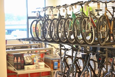 Photos of Eastern Shore Cycles