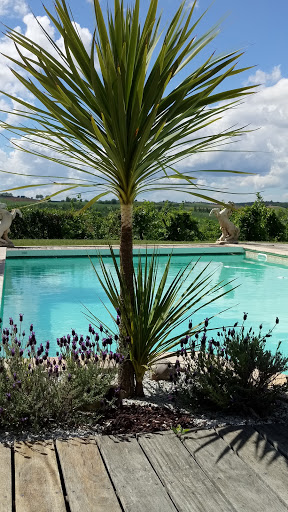 Photo de ANT PISCINES à Pompertuzat (31450)