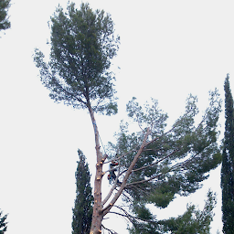 Photo n°5 de M.R. Jardins à Aubres (Jardinier)