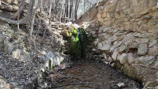 Apache Spring - Thumbnail