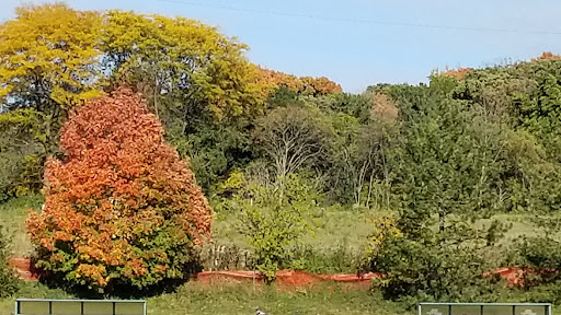 Warriors Soccer Field