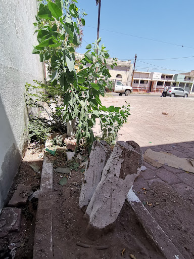 PRI Guaymas - Visual