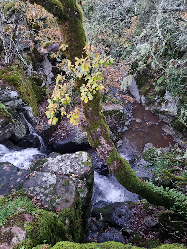 Mularza Noa - Visual