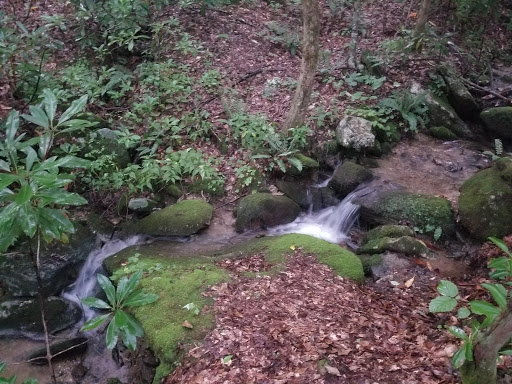 Coleman River Scenic Area - Thumbnail