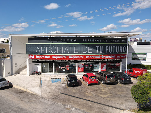 Grupo Térrea