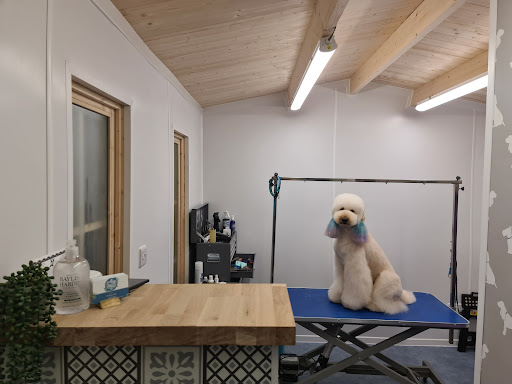 The Dog Spot Pet Spa