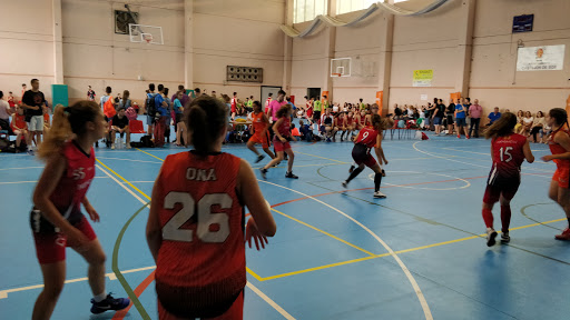 Pabellón Polideportivo Municipal de Castejón de Sos. - Thumbnail