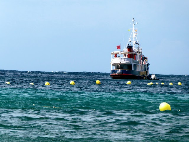 Caló el Moro