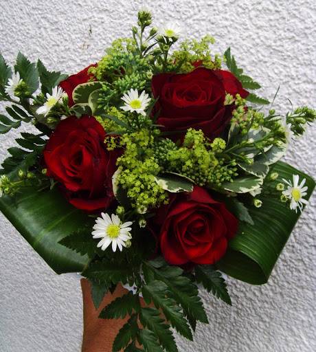 Blumen-Aschoff GbR - Visual