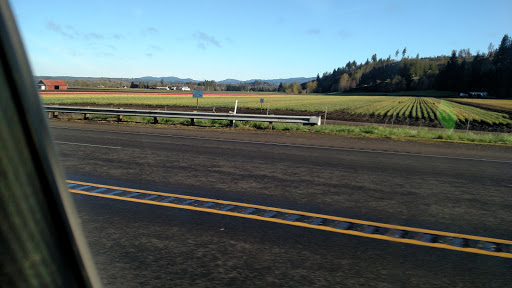 Mountain Road Park LLC & RV Park - Thumbnail
