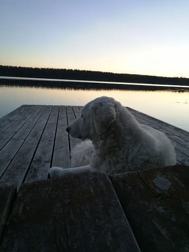 Skärsjön - Visual