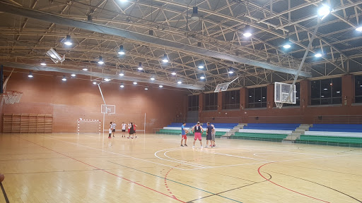 Polideportivo Municipal El Espinar