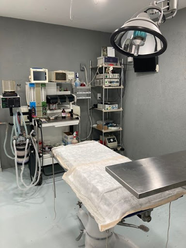 Centro Veterinario Integral Lagos Gallery - Mexico