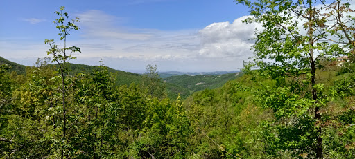Borbera - Visual
