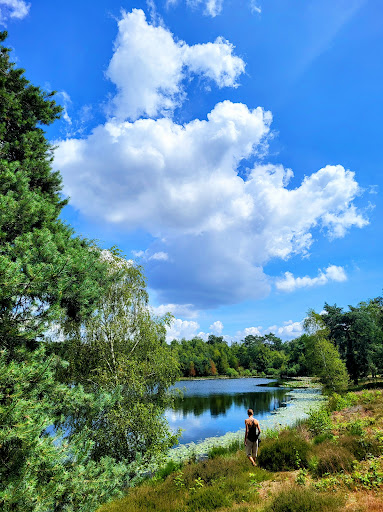 Beegderheide - Visual