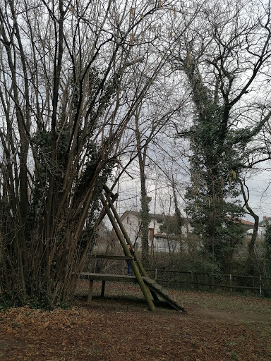 Bosco del Biulè - Thumbnail