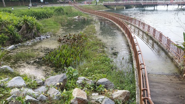 MacRitchie Reservoir