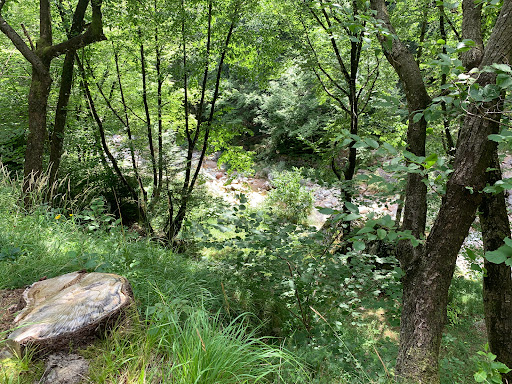 Foresta di Giazza Gallery - Italy