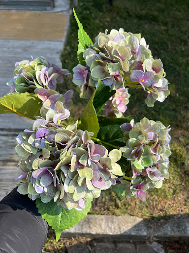 Stefania Vullo Fiori Artificiali - Thumbnail
