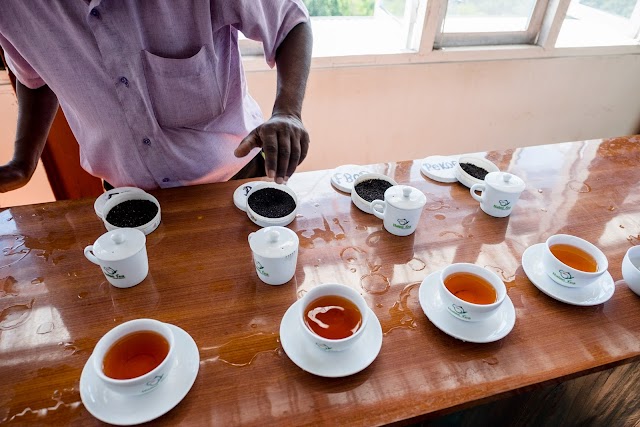 Uva Halpewatte Tea Factory
