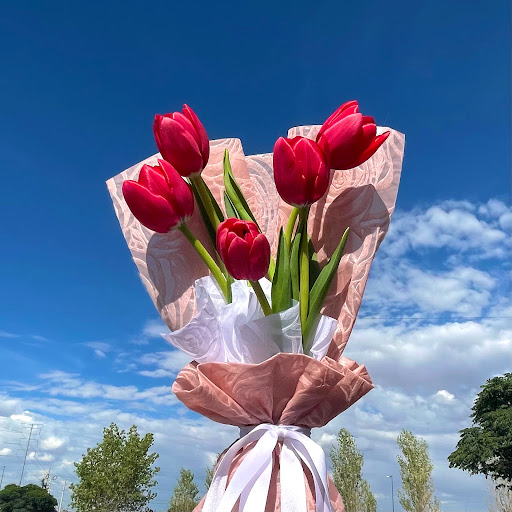 Florería Ainara - Visual